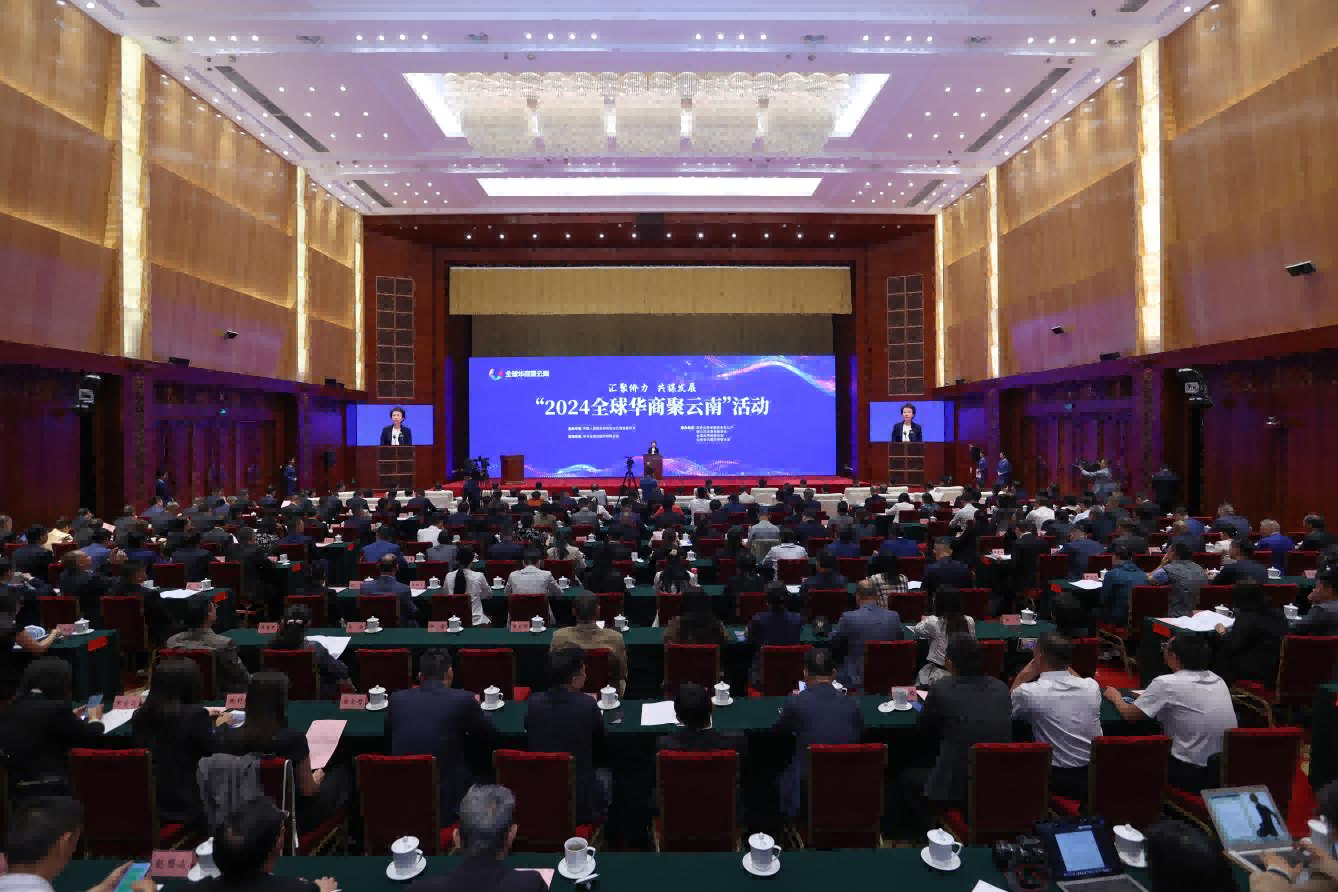 程红出席“2024全球华商聚云南”活动开幕式