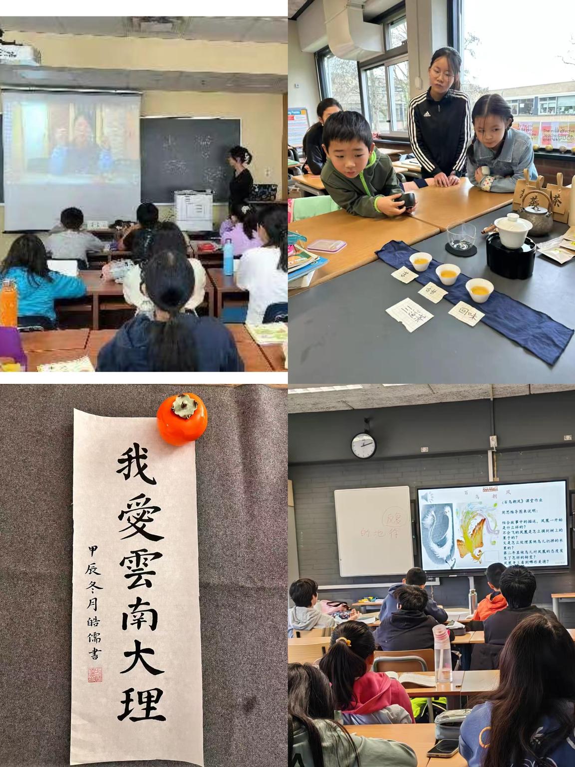 4.ccac39a9a7a90978a6ab796b908a411