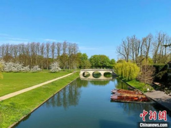 疫情下的剑桥校园。许通 摄