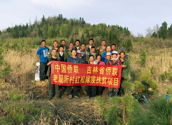 在吉林省侨联的大力帮扶协调下，该项目得到了专项支持，特为老局所村注入扶贫资金20万元，用于红松嫁接项目.jpg